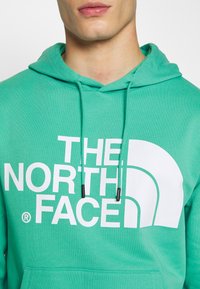 Jeune personne portant un sweat à capuche vert avec le logo blanc "THE NORTH FACE" et des cordons visibles sur la poitrine, sur un fond uni.