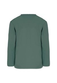 Långärmad t-shirt med rund halsringning i dämpad grön färg. Tillverkad av mjuk bomull med en slät yta. Enkel design utan mönster eller synlig hårdvara.