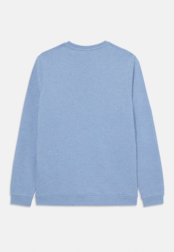 CREW NECK UNISEX - Sweatshirt - fresh water marl3