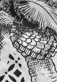 Tissu noir et blanc présentant des dessins complexes de plumes et de motifs géométriques, mettant en valeur des textures variées et des designs détaillés.