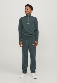 Jack & Jones Junior JORVESTERBRO QUARTER ZIP - Sweatshirt - magical forest
