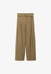 Seleccionado, olive