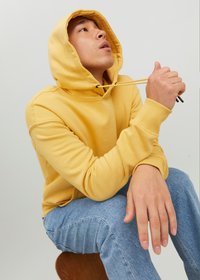 Jack & Jones JJESTAR  NOOS - Sweat à capuche - jojoba