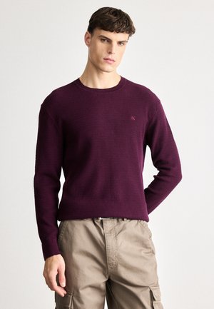 TEXTURE SWEATER - Džemperis - passion plum