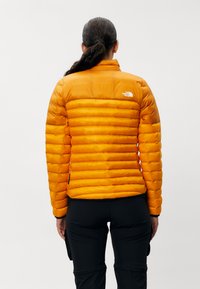 The North Face TERRA PEAK JACKET - Giacca invernale - apricot glaze/iron citrus