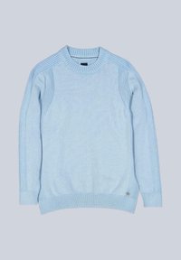 Hellblaues Sweatshirt mit geripptem Halsausschnitt und Bündchen, das vertikale Streifen auf den Schultern und ein kleines Logo am unteren Saum aufweist.