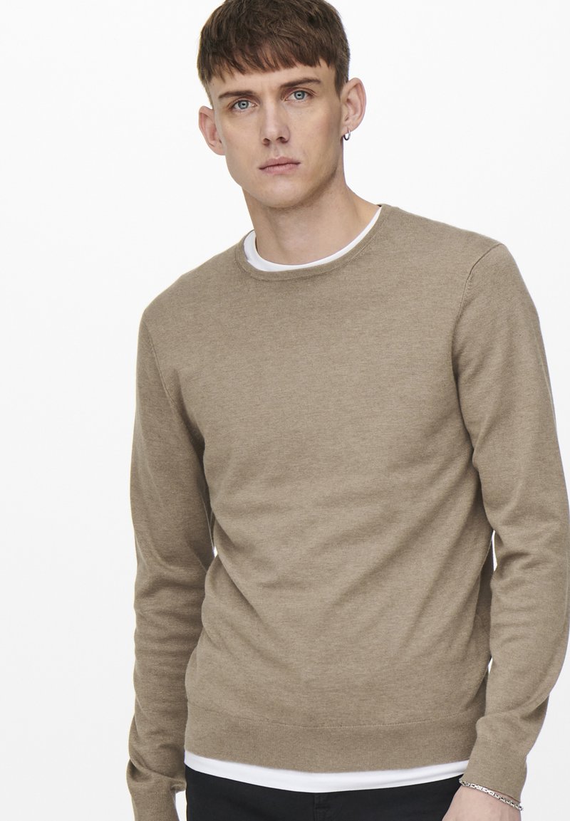 Only & Sons ONSWYLER LIFE CREW - Camisola - incense