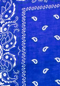 Bandana bleu à motif paisley présentant un motif central de formes paisley blanches et d'accents floraux, bordé d'un liseré décoratif blanc.