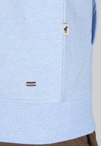 Sweatshirt bleu clair avec ourlet et poignets côtelés. Présente une petite étiquette de logo brodé et trois bandes horizontales colorées près du bas.