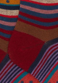 Calzini lavorati a maglia multicolore con strisce rosse, blu, marroni, rosa e viola; sezioni distinte con motivi e trame diverse.