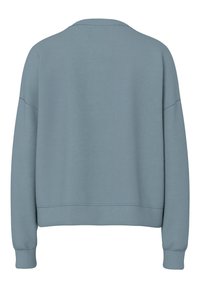 Lichtblauwe sweatervest met lange mouwen, geribbelde boorden en zoom, gezien van de achterkant met een eenvoudige naaddetails over de schouders en taille.