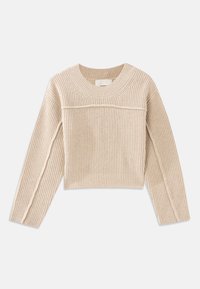 FLY - Džemper - beige