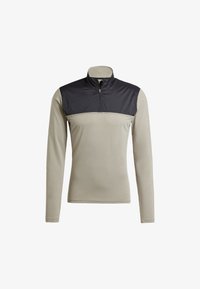 Selected, silver pebble