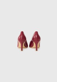 Scarpe con tacco alto in pelle rossa, con punta affusolata e tacco a stiletto sottile. Texture liscia, design minimalista che mette in risalto l'artigianato.