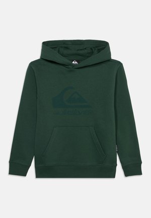 Quiksilver, LOGO - Hoodie - forest