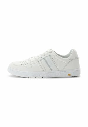 - Sneakersy niskie