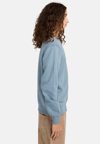 Sudadera de cuello redondo azul en mezcla de algodón, con puños y dobladillo de canalé. Diseño básico con un ajuste relajado y una textura suave.