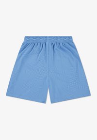 Αθλητικά σορτς από ανοιχτό γαλάζιο δίχτυ με ελαστική, ελαστική μέση και φαρδιά εφαρμογή, με μικρές οπές σε όλη την επιφάνεια.