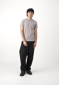 AllSaints TONIC CREW - T-shirt basic - chestnut taupe