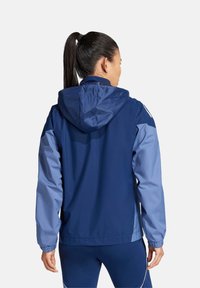 Blaues Kapuzensweatshirt mit kontrastierenden hellblauen Ärmeln. Verfügt über elastische Bündchen und eine leichte, glatte Textur. Rückansicht angezeigt.