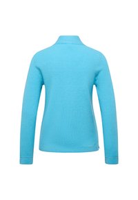 Hellblauer Pullover mit langen Ärmeln und hohem Kragen, von hinten vor weißem Hintergrund gezeigt.