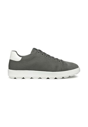 U SPHERICA ECUB - Zapatillas - dark grey