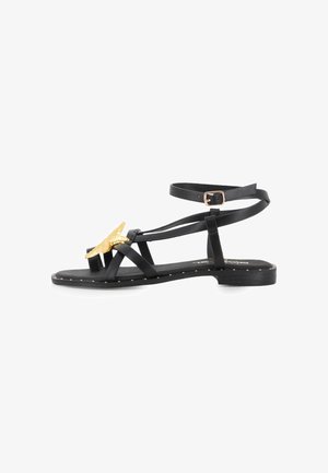 Blogger, SANDALIAS PLANAS - Sandalias de dedo - black