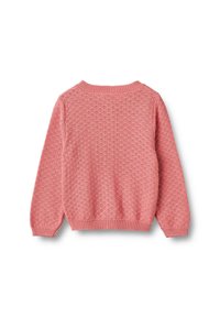 Rózsaszín kötött pulóver hosszú ujjakkal és texturált, mintás dizájnnal, hátulról ábrázolva, fehér háttéren.