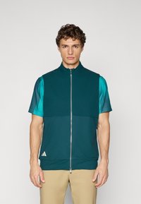 Young man wearing a teal zip-up sleeveless vest over a turquoise short-sleeve shirt and beige pants, standing against a plain background.