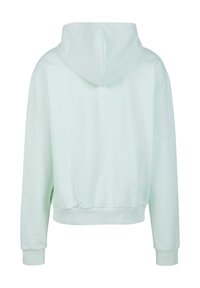 Sudadera de color verde menta claro con capucha ajustable, puños y dobladillo acanalados, y un corte relajado. Fabricada con una suave mezcla de algodón, sin patrones visibles.