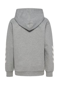 Grau Hoodie aus weichem Material, mit Kapuze, langen Ärmeln und weißen diagonalen Streifen auf dem linken Ärmel. Schlichtes Design.