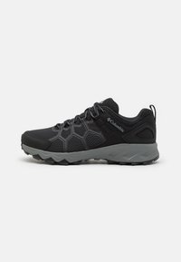 PEAKFREAK II - Obuća za pješačenje - black/grey