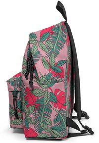 Eastpak PADDED PAK'R - Dagryggsäck - brize tropical
