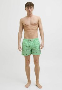 Bañador de rayas verdes con pequeños patrones rojos, fabricado en material ligero, con una cinturilla elástica y cordón ajustable.