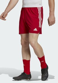 Man in rode Adidas sportshorts, bijpassende rode Adidas sokken en zwarte voetbalschoenen, staande met gekruiste benen op een lichte achtergrond.