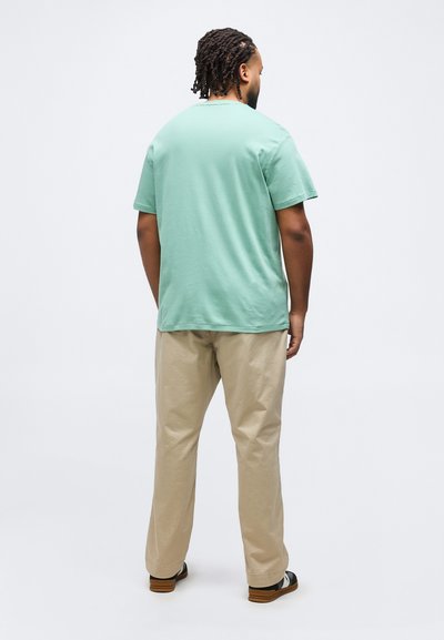 Άνδρας με πλεξούδες στέκεται γυρισμένος προς τα πίσω, φορώντας ανοιχτοπράσινο κοντομάνικο πουκάμισο, μπεζ παντελόνια και μαύρα-λευκά παπούτσια.