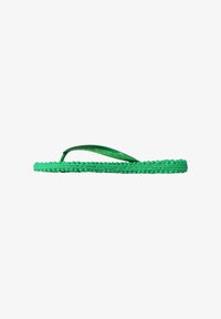 No seleccionado, fern green