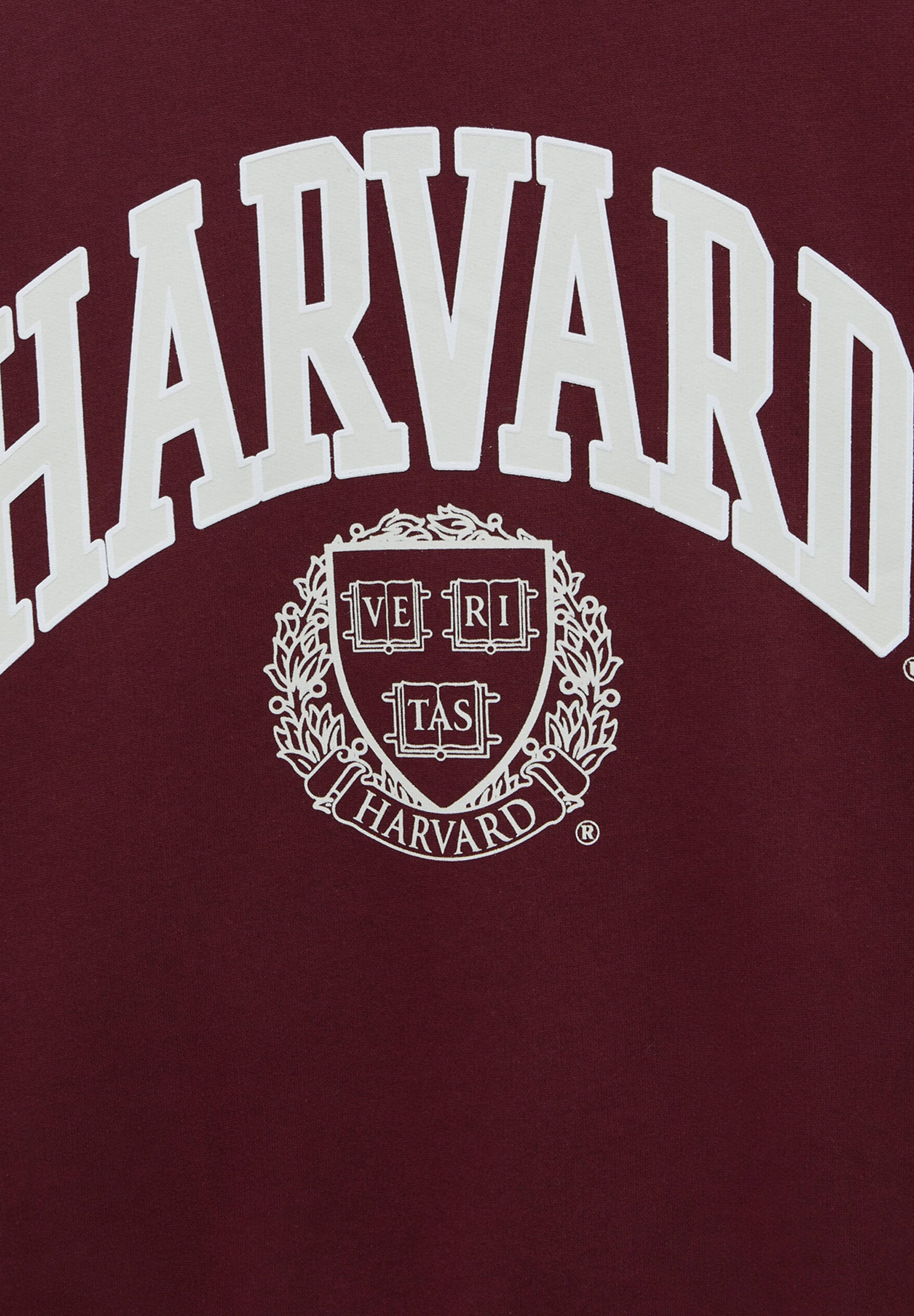 pull and bear harvard t shirt