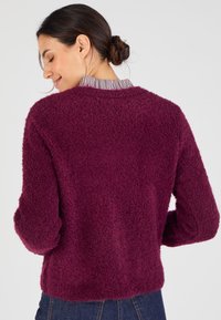 Maglione borgogna peloso con scollo rotondo e maniche lunghe, indossato sopra una camicia a righe con colletto, caratterizzato da una finitura morbida e testurizzata.
