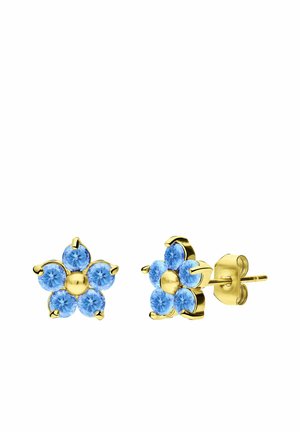 Oorbellen - gold-coloured/aqua