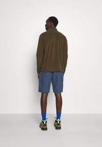 Columbia KLAMATH RANGE™ HALF ZIP - Fleecepullover - olive green/shark