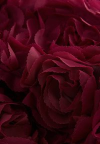 Burgundy-kankaisia kukkia, joissa on aaltoilevat reunat, kerrostettu tekstuurin luomiseksi. Valmistettu läpikuultavasta, kevyestä materiaalista, joka muistuttaa ruusuja.