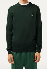 Dunkelgrüner Pullover mit geripptem Rundhalsausschnitt und Bündchen. Mit kleinem, gesticktem Logo auf der Brust. Weicher Strickstoff.