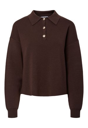 Brauner Strick-Polo-Pullover mit Kragen, vier dekorativen Knöpfen, langen Ärmeln und gerippten Bündchen. Glatte Textur und verkürztes Design.