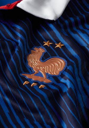 Niebiesko-czarna prążkowana sportowa koszulka z emblematem złotego koguta, nad którym znajdują się dwie gwiazdy, a poniżej trzy litery, w pobliżu białego kołnierza.