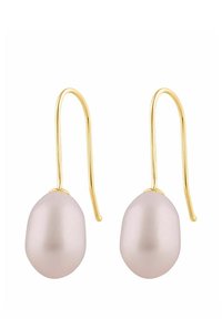 Náušnice s háčikom v zlatej farbe majú oválne, hladké svetloružové perly s lesklým povrchom. Jednoduchý dizajn, vhodný na rôzne príležitosti.
