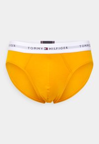 Tommy Hilfiger BRIEF 5 PACK - Braguitas - rich ochre/desert sky/blue/green