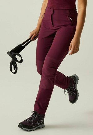 Persona con pantalones de senderismo burdeos y botas, sosteniendo bastones de trekking negros, visto desde la cintura hasta los pies sobre un fondo liso.