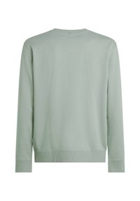 Jasnozielona bluza z długim rękawem, okrągłym dekoltem, ściągaczami na mankietach i dole, o gładkiej fakturze materiału. Bez widocznych grafik ani wzorów.
