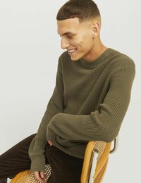 Jack & Jones PREMIUM STRICKPULLOVER MIT RUNDHAL - Sudadera - sea turtle